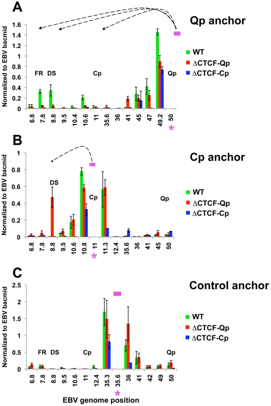 Quantitative 3C analysis confirms changes in chromatin architecture in ΔCTCF-Qp and ΔCTCF-Qp compared to Wt EBV bacmid.