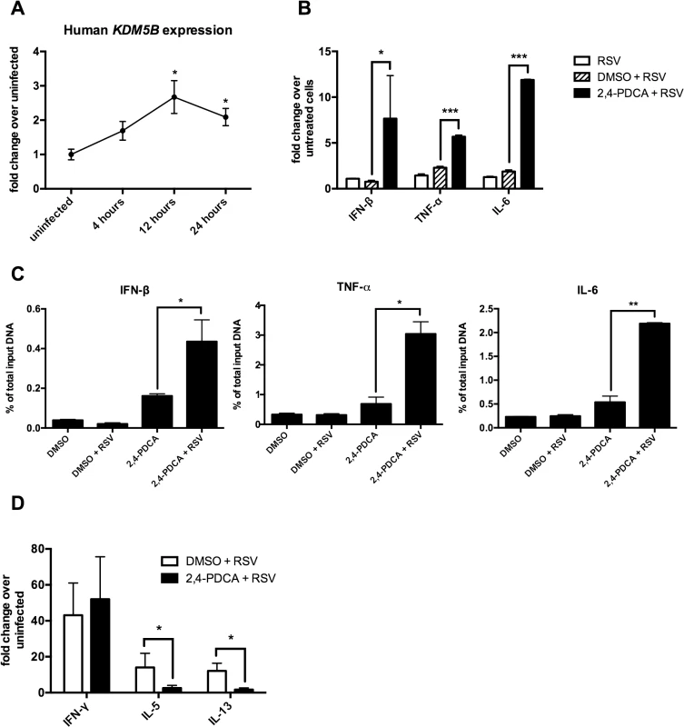 Inhibiting KDM5B in human monocyte-derived DCs leads to increased cytokine production.
