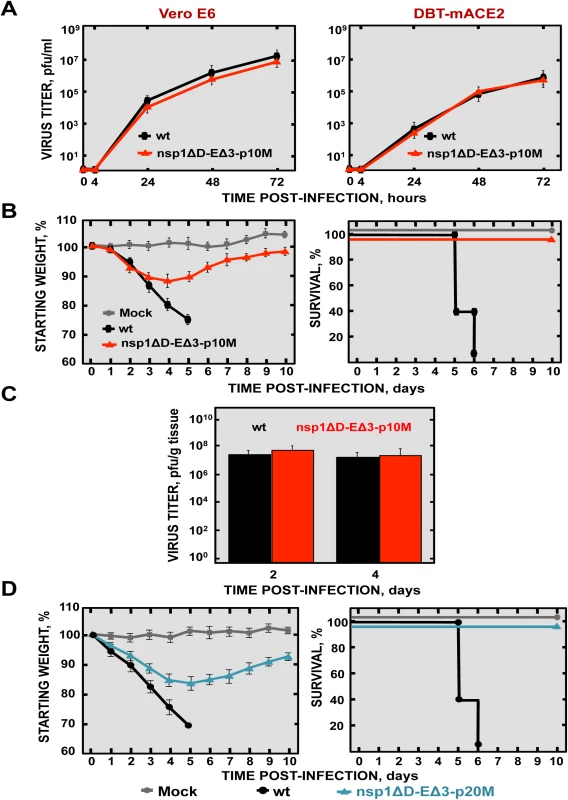 Virulence and virus growth of SARS-CoV with two safety guards after serial passage in mice.