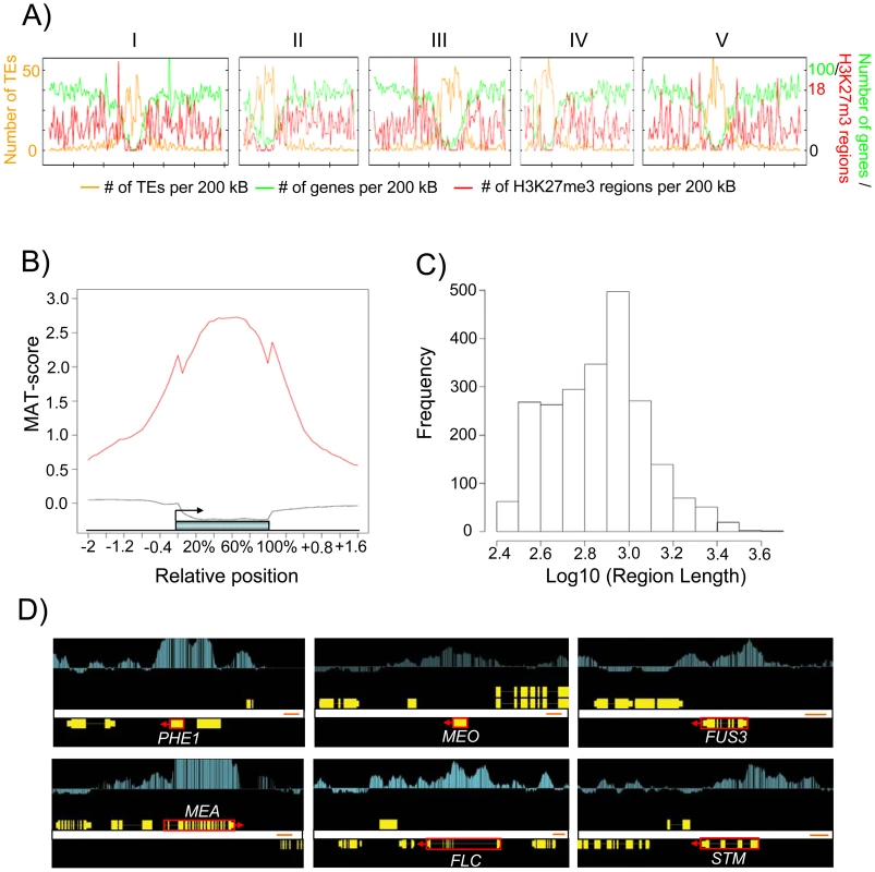 Genome-Wide Identification of H3K27me3 Regions in the Endosperm.