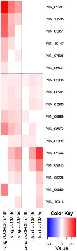 <i>P. indica</i> DELD proteins induced during colonization of barley roots (shown are 17 from the 29 identified DELD proteins).