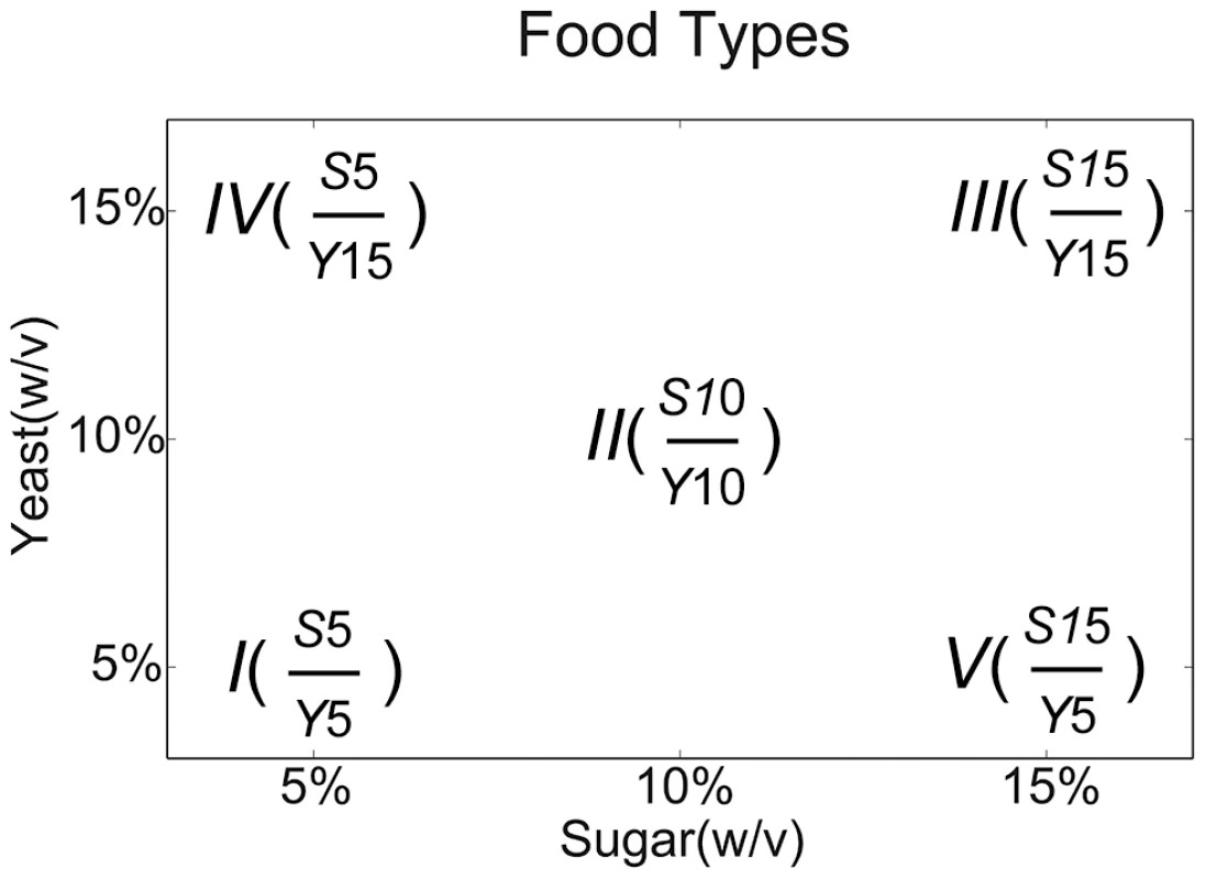 Diagram of diets used in this study.