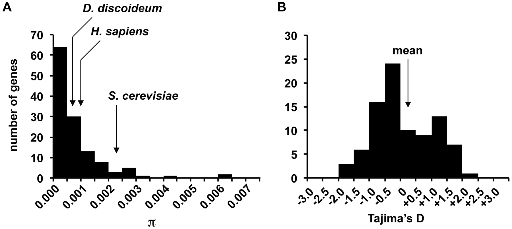 Distribution of nucleotide variation and Tajima's D in gene fragments.