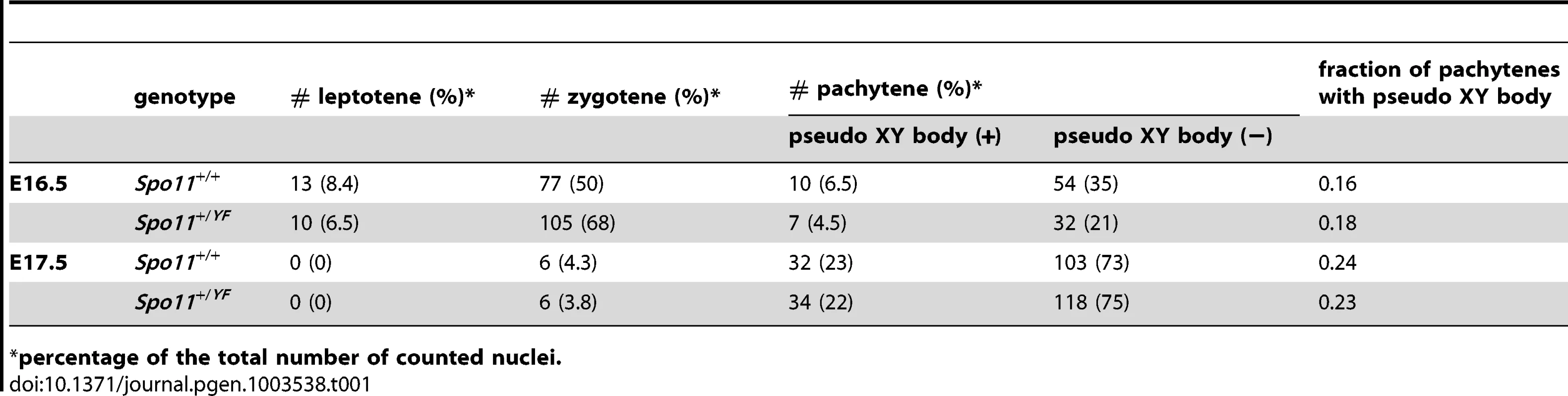 Number of different subtypes of meiotic nuclei and frequency of pachytene nuclei with a pseudo-XY body in E16.5 and E17.5 oocytes from <i>Spo11<sup>+/+</sup></i> and <i>Spo11<sup>+/YF</sup></i>embryos.