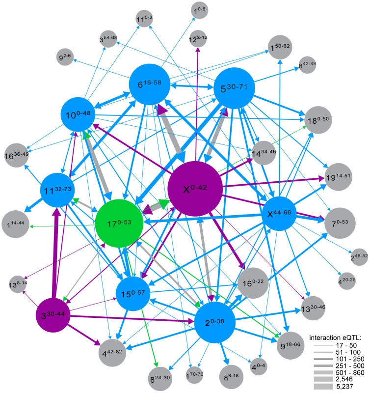 Interaction network. Interaction eQTL hotspots identified with different genotype covariates are shown as single nodes if the distance between regions was &lt;12.8 Mb (average distance between genotyping markers).