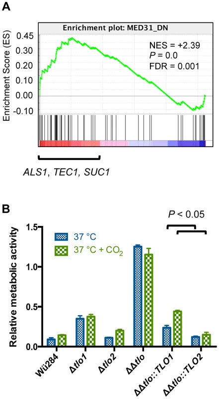 Deletion of <i>TLOs</i> has different effects on biofilm formation compared to a <i>med31</i>Δ mutant.