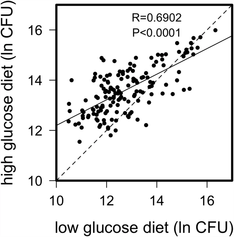 Correlation of natural log bacterial load (CFU) 24-hours post infection for DGRP lines raised on high glucose and low glucose diets.