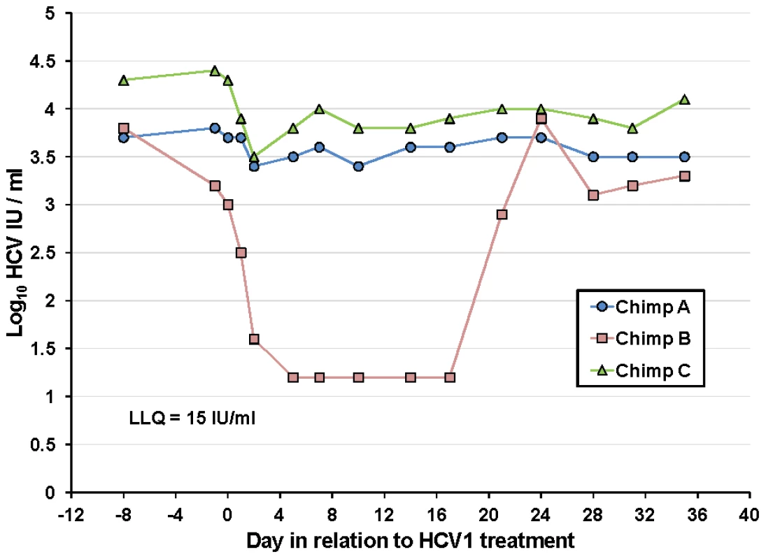 Treatment of chronically-infected chimpanzees with HuMAb HCV1.