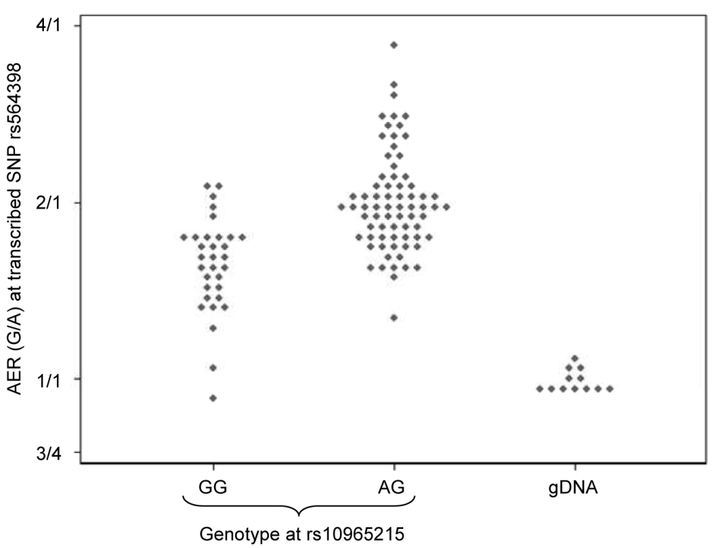 Effect of genotype at rs10965215 on allelic expression ratio of transcribed <i>ANRIL</i> SNP rs564398.
