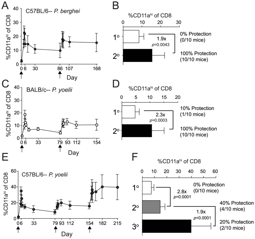 Homologous <i>Pb</i>- or <i>Py</i>-RAS boosting of mice elicits robust memory CD8 T cell responses but does not enhance protection of C57BL/6 mice against <i>Py</i> sporozoite challenge.