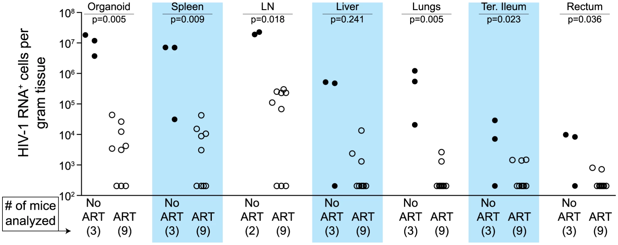 Durable reduction of the number of vRNA<sup>+</sup> cells occurs during ART.