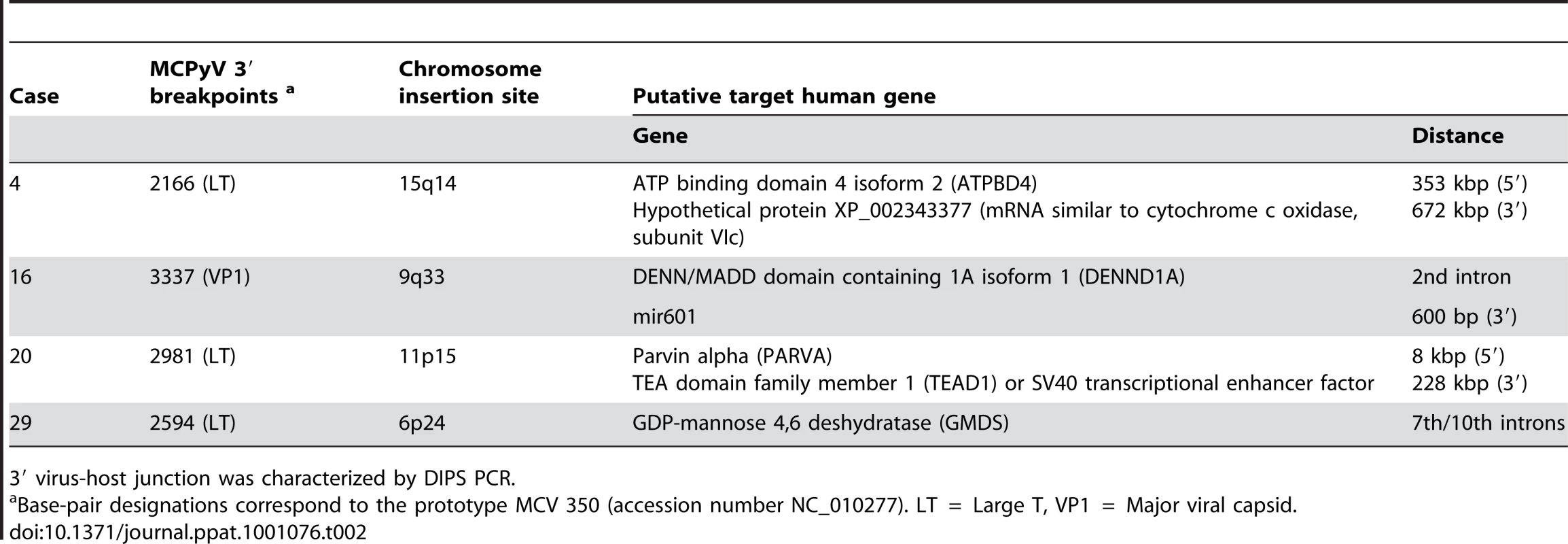 Identification of four novel integration sites of MCPyV DNA in MCC genome.