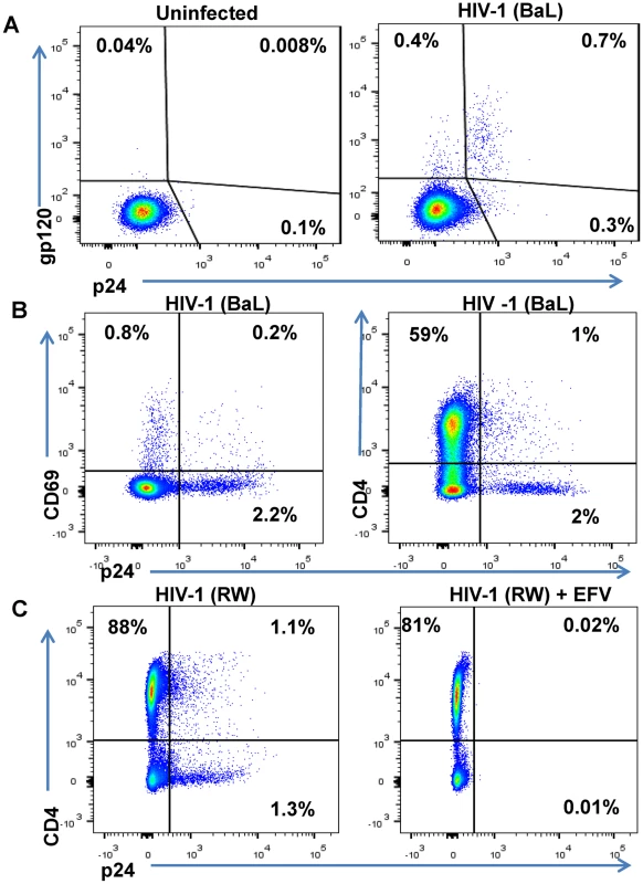 Phenotype of unstimulated primary CD4 T cells infected with HIV in vitro.