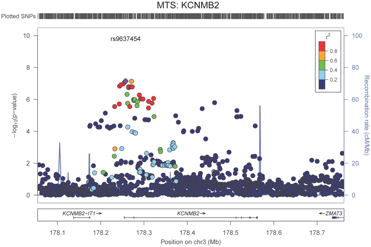 Regional association plot for <i>KCNMB2</i> and the hippocampal sclerosis (any vs. none) analysis.