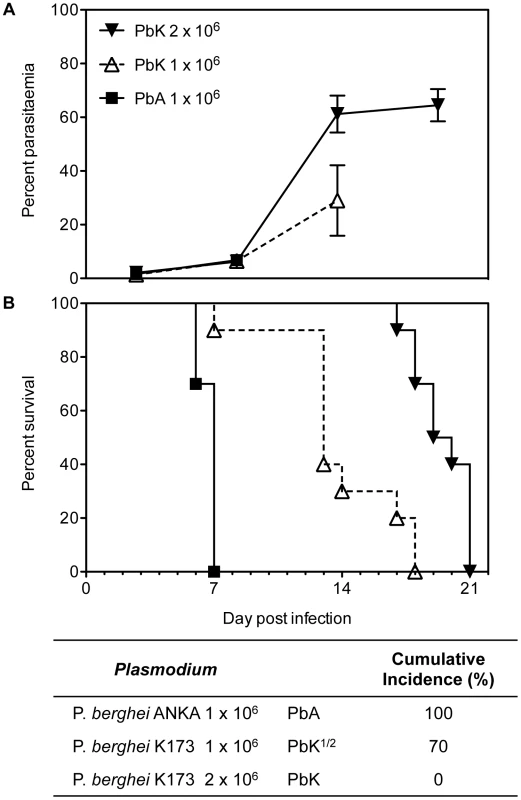 Parasitaemia and survival curves of <i>Plasmodium berghei</i>.