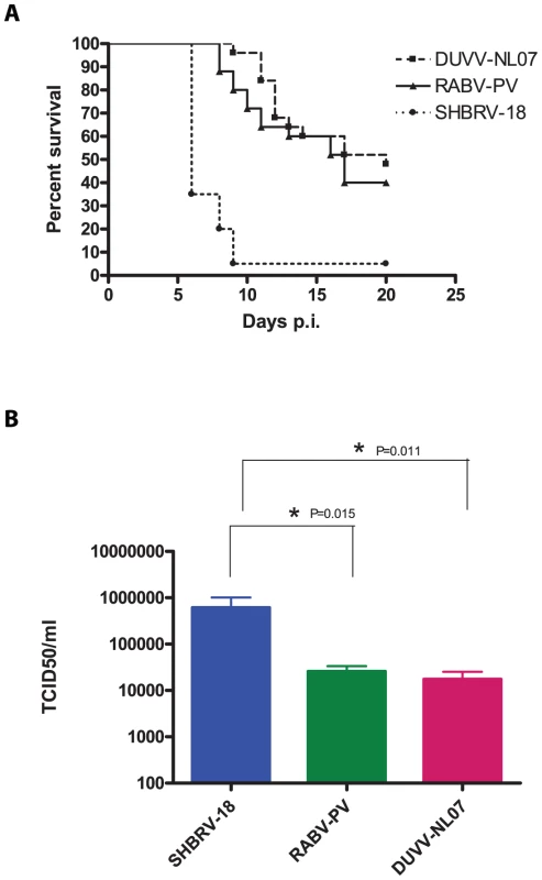 Virulence of lyssaviruses in eight-week old BALB/c mice.