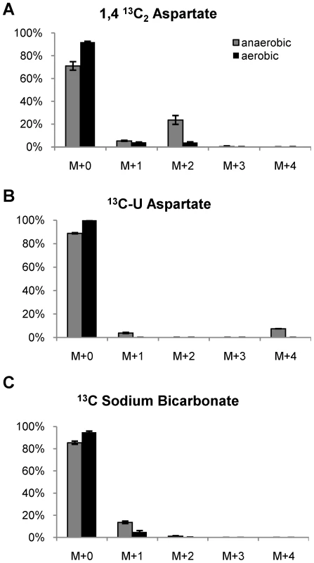 Mass isotopomer ratios of secreted succinate following labeling with <sup>13</sup>C isotopic substrates.