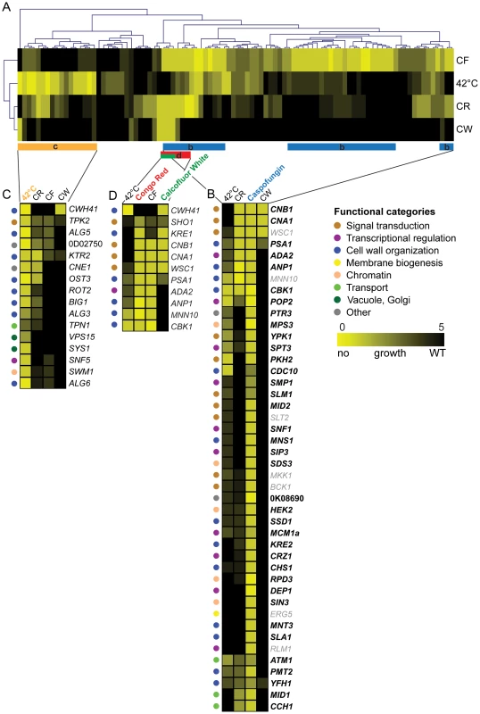 Clustering of susceptibility data of the <i>C. glabrata</i> gene deletion collection.