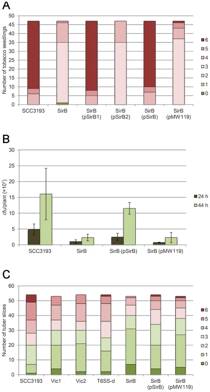 <i>sirB<sup>−</sup></i>, Vic1, Vic2 and T6SS-double mutants showed decreased virulence in planta.