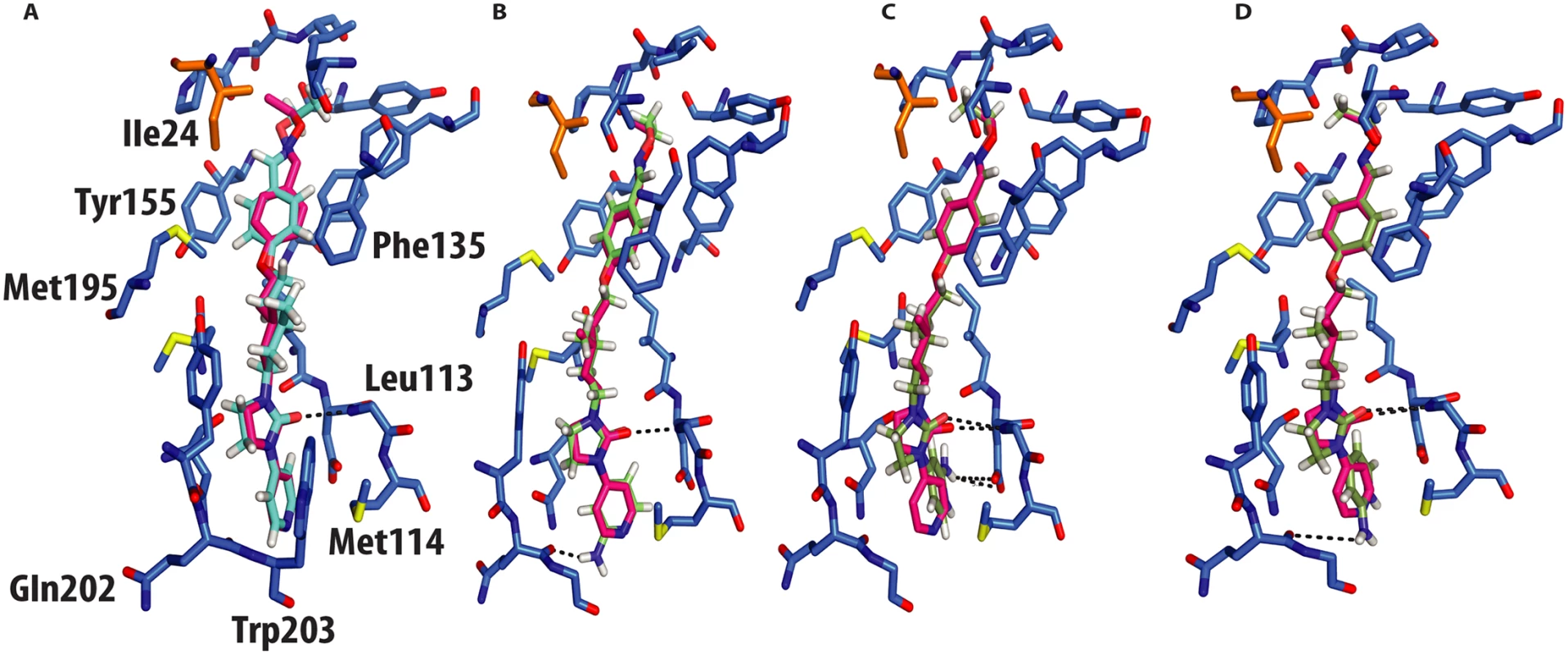 Molecular docking of GPP3 and NLD into the VP1 pocket.