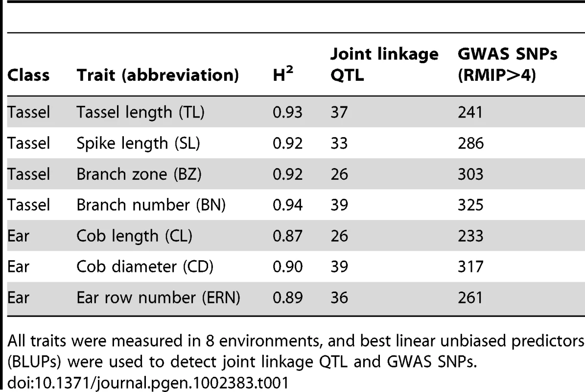 Summary of maize inflorescence phenotypes and QTL results.