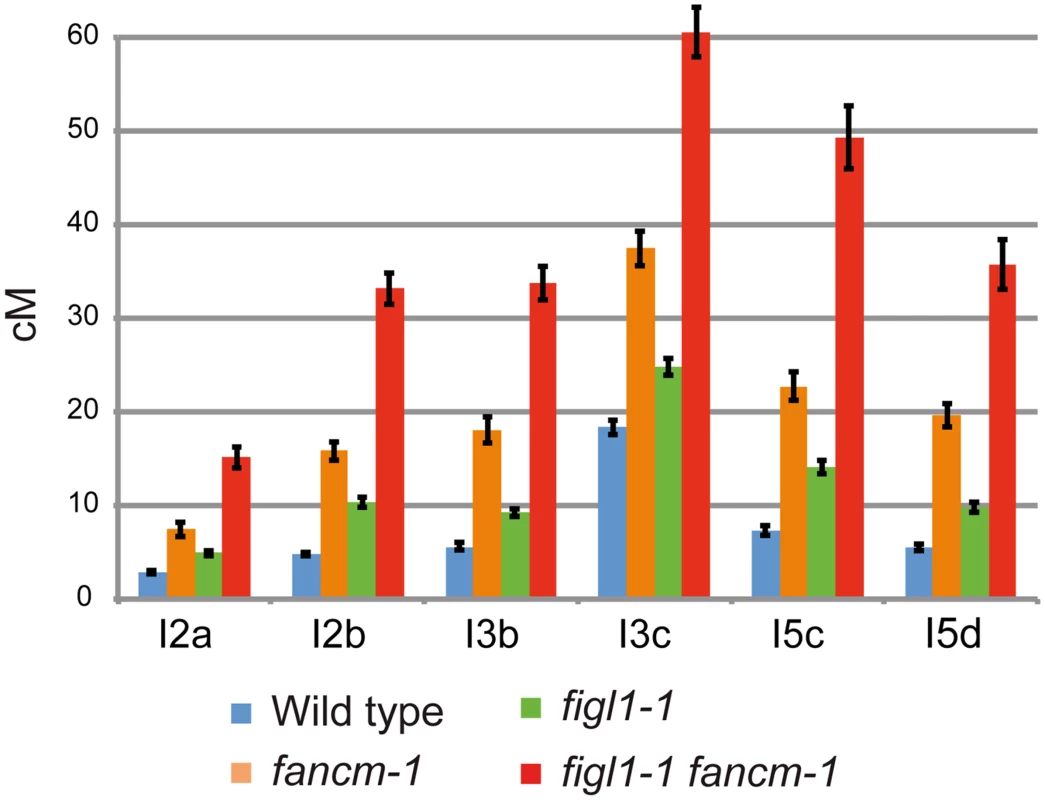 FIGL1 limits meiotic CO independently of FANCM.