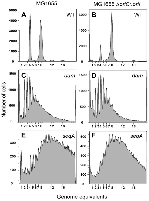 Flow cytometric analysis of DNA content in <i>E. coli</i>.