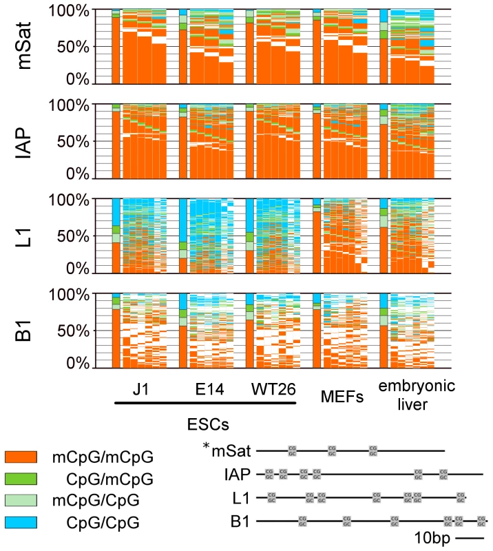 DNA methylation pattern of CpG dyads at repetitive elements in WT ESCs, MEFs, and embryonic liver.
