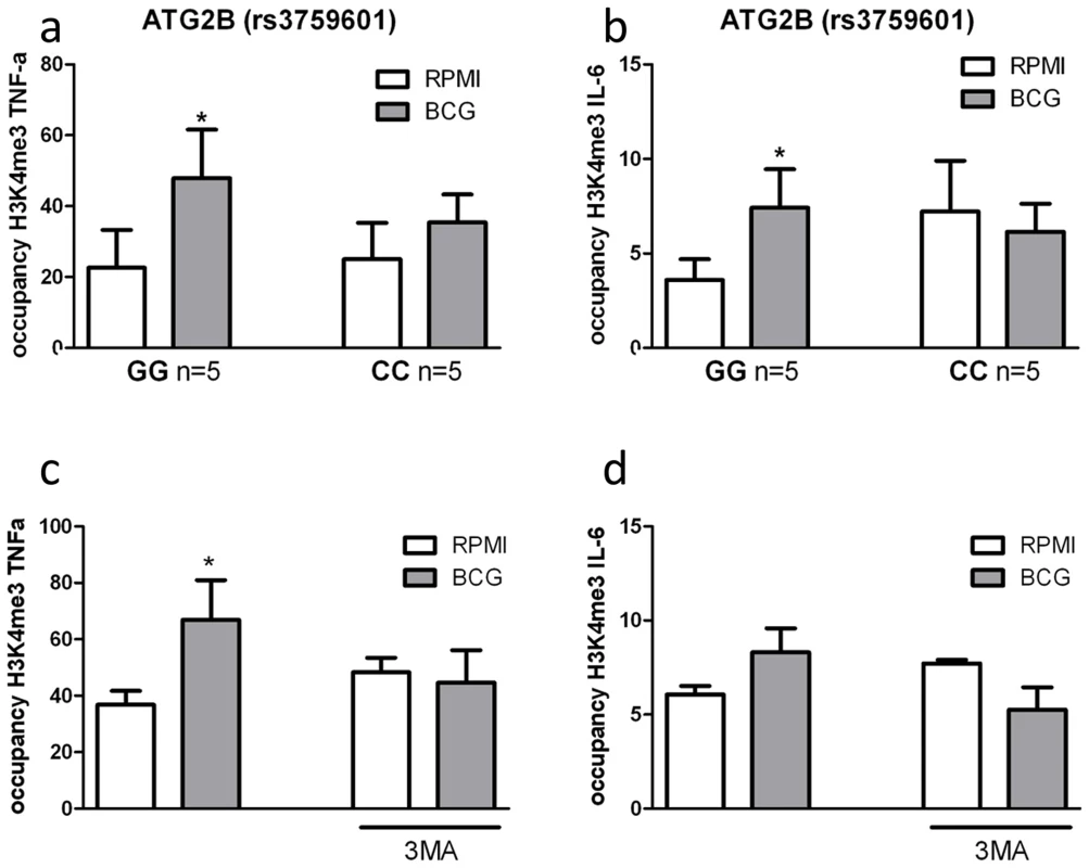 Impairment of autophagy decreases trimethylation at H3K4 in human monocytes.