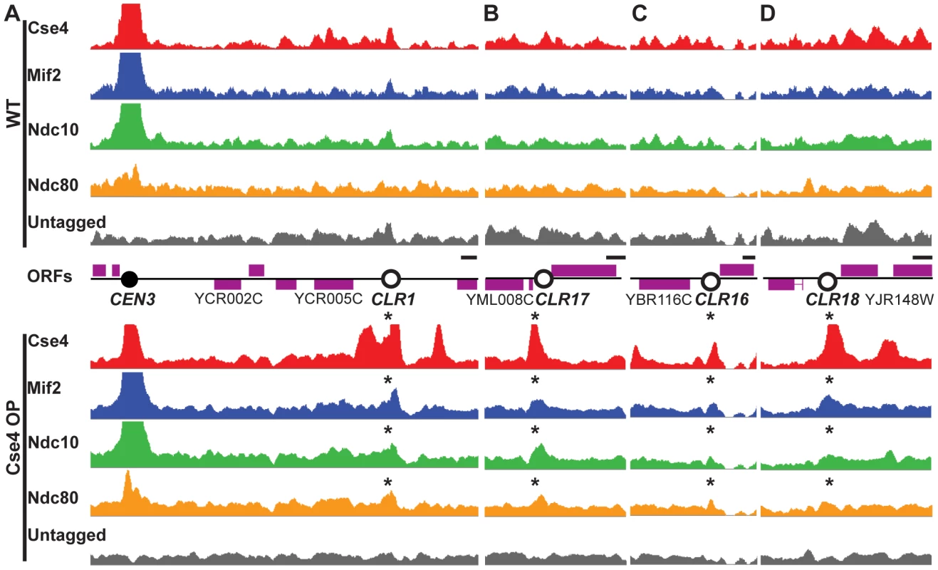 Formation of Centromere-Like Regions revealed by ChIP–Seq.