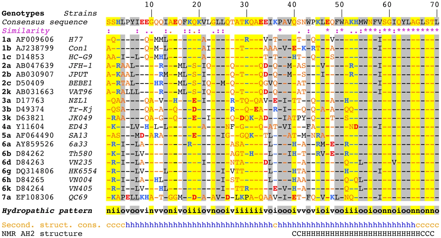 Sequence analysis of the N-terminal part of HCV NS4B.