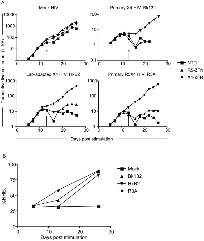 Treatment with X4-ZFNs is effective in <i>ccr5Δ32</i> homozgyous human CD4+ T cells.