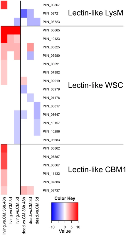 Differentially regulated <i>P. indica</i> lectin-like proteins.
