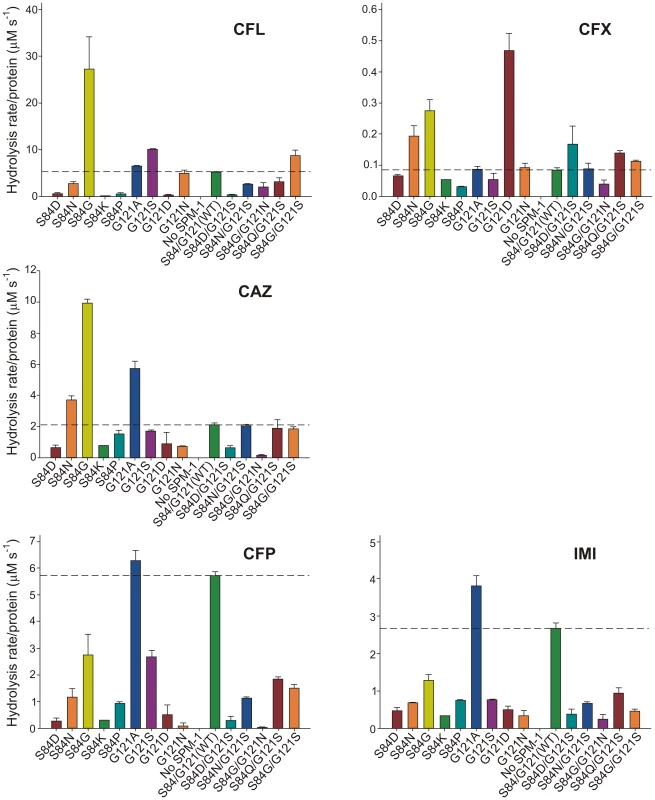 β-lactamase activity of SPM-1 mutants in <i>P. aeruginosa</i> periplasmic extracts against cephalotin (CFL), cephalexin (CFX), ceftazidime (CAZ), cefepime (CFP) and imipenem (IMI).