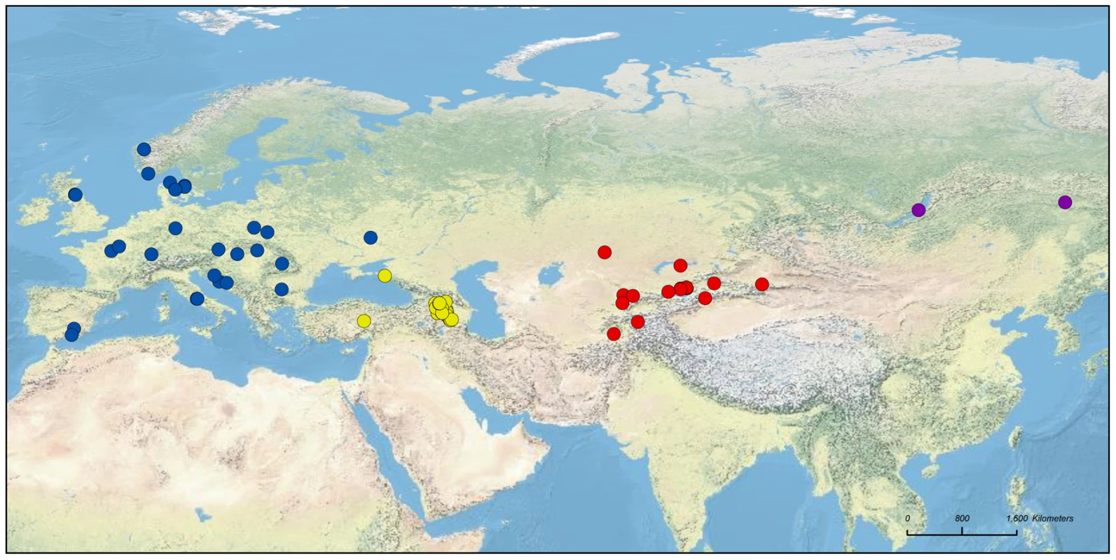 Geographic origins of the samples of the four wild <i>Malus</i> species used: <i>M. sylvestris</i> (blue), <i>M. orientalis</i> (yellow), <i>M. baccata</i> (purple), and <i>M. sieversii</i> (red).
