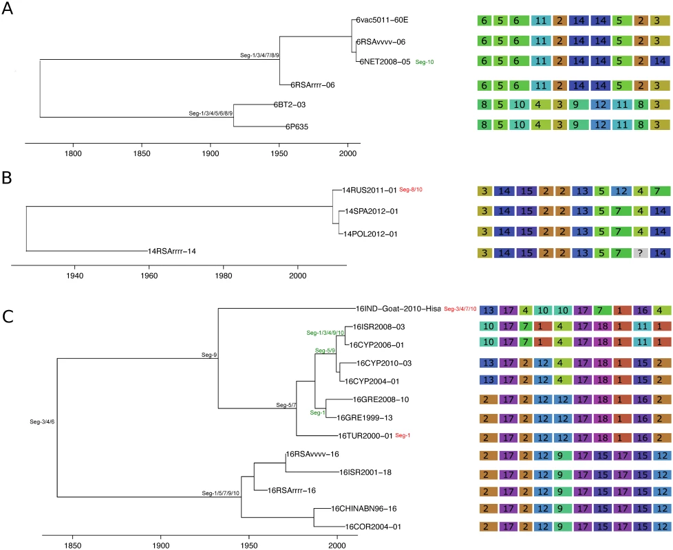 Time-scaled Seg-2 phylogenies of European isolates of BTV-6 (A), BTV-14 (B), and BTV-16 (C).
