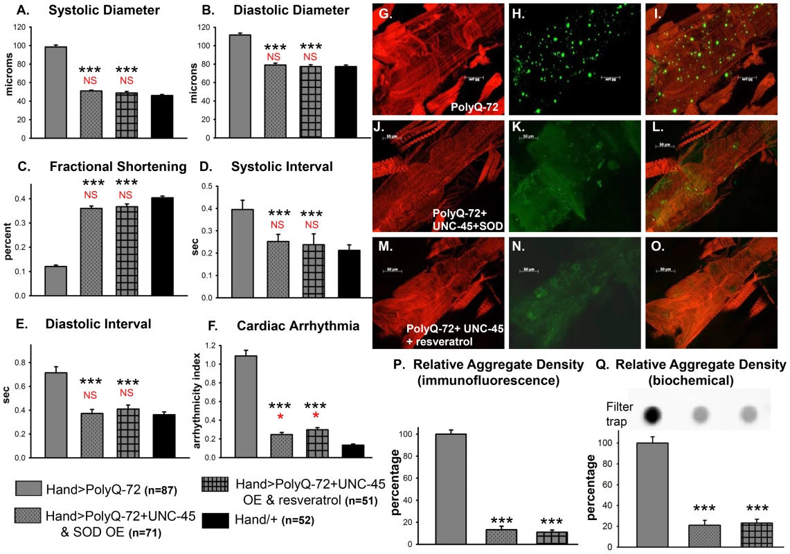 Combined over-expression of UNC-45 and SOD-1 or over-expression of UNC-45 and treatment with antioxidant resveratrol are required for nearly complete suppression of PolyQ-induced cardiac defects and aggregation.