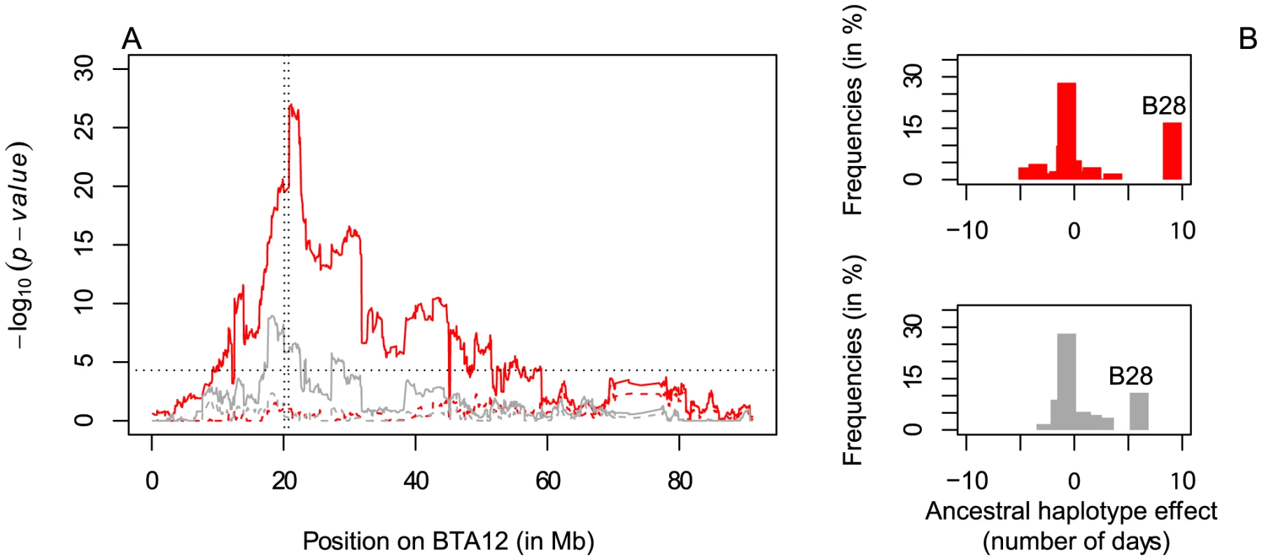Fine-mapping of the fertility QTL on BTA12.
