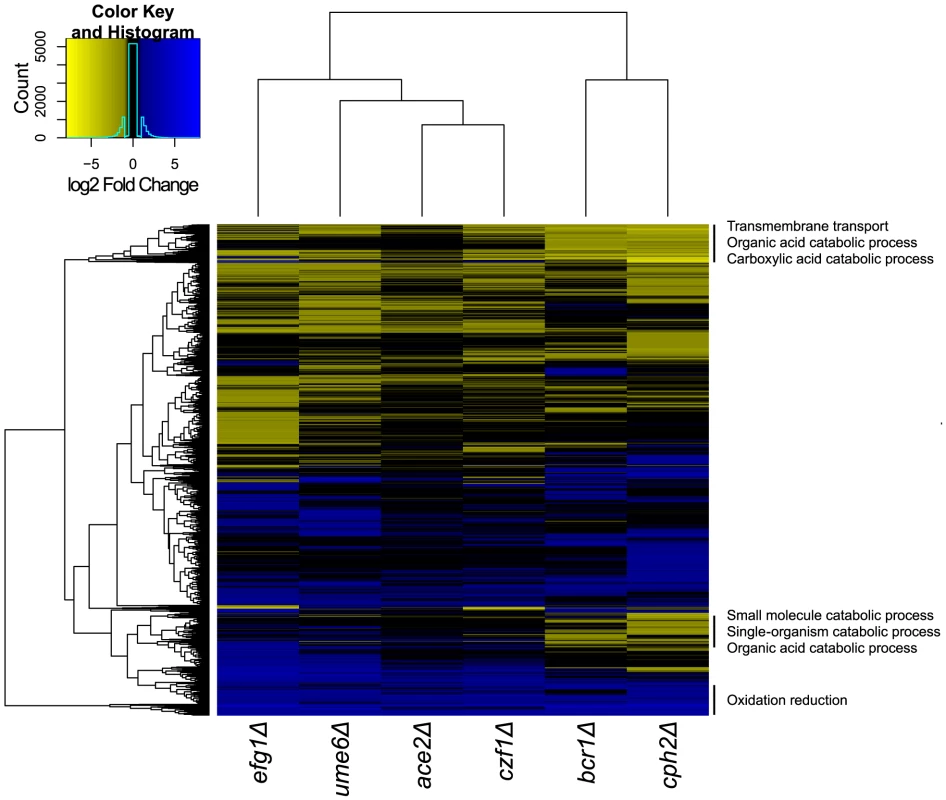 Comparison of transcription profiles of biofilm regulators.