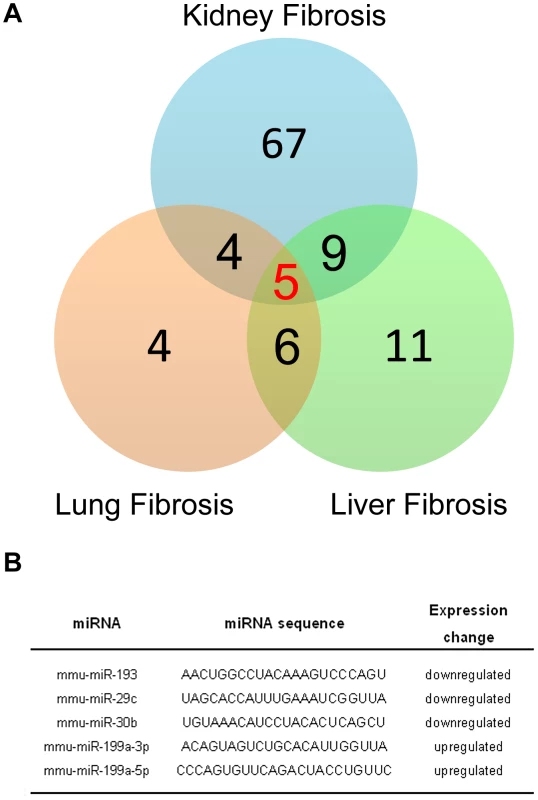 MiR-199a-5p is commonly dysregulated in three experimental mouse models of liver, lung, and kidney fibrosis.