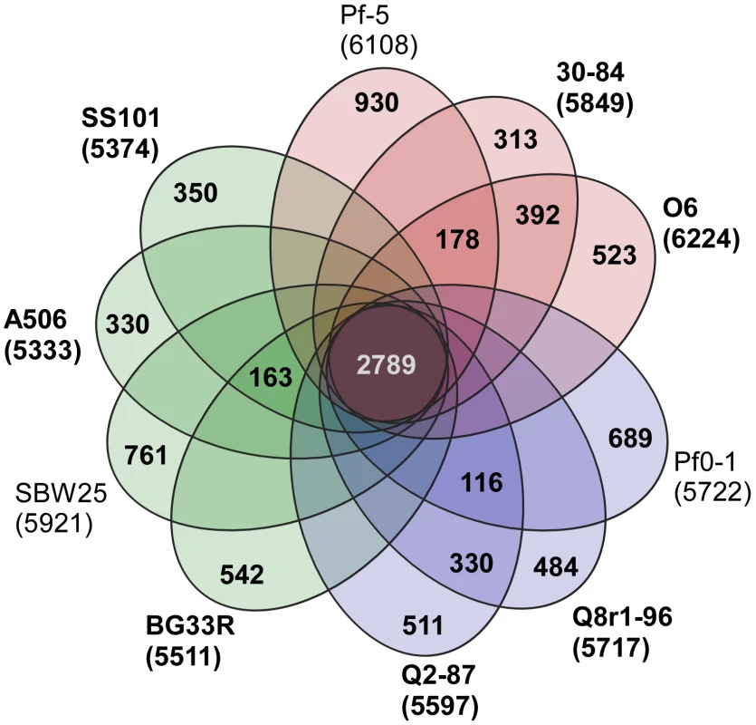 Genomic diversity of strains in the <i>P. fluorescens</i> group.