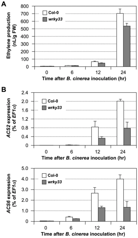 Induction of <i>ACS2</i> and <i>ACS6</i> gene expression after <i>B. cinerea</i> infection was partially inhibited in <i>wrky33</i> mutant.