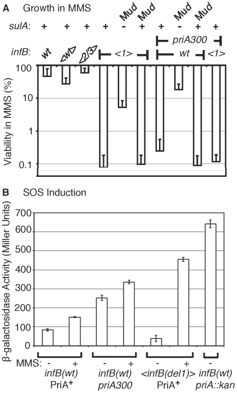 Characteristics of MMS sensitivity exhibited by <i>&lt;infB(del1)&gt;</i> mutants and similarity to <i>priA300</i>.