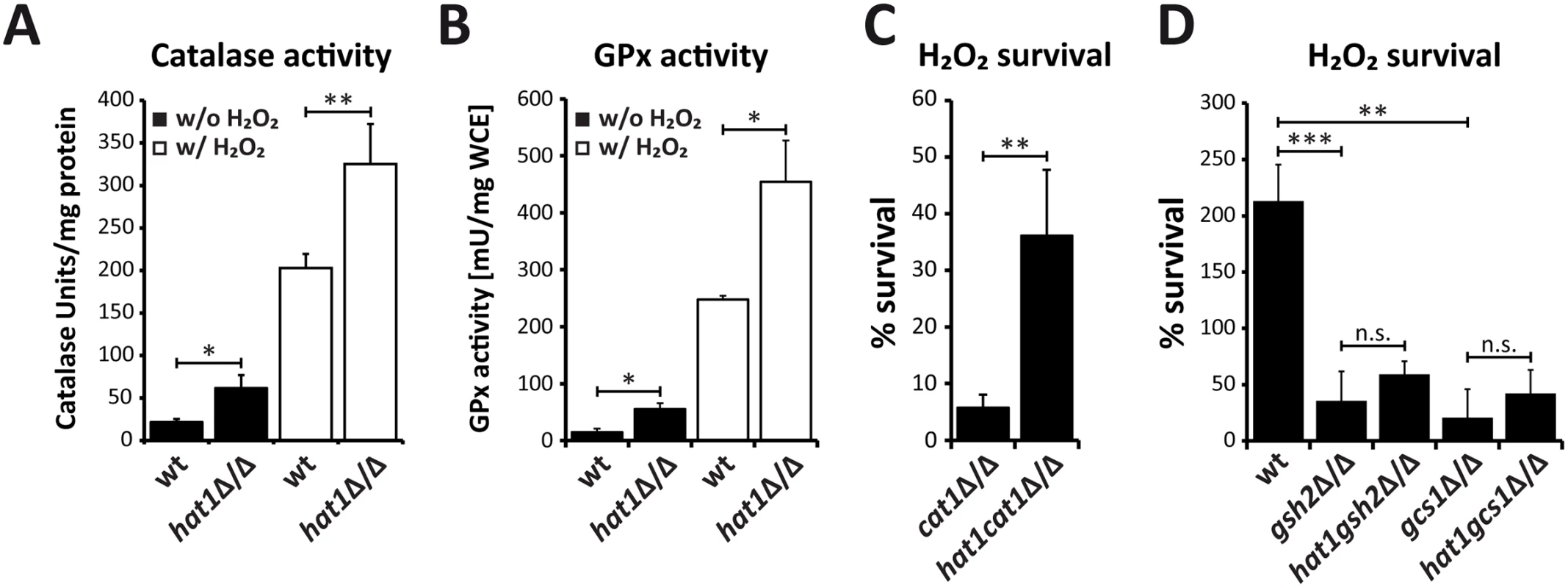 Loss of Hat1 raises antioxidant enzyme activity and glutathione-mediated H<sub>2</sub>O<sub>2</sub> resistance.