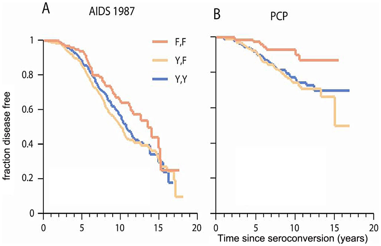 Genetic effect of <i>CCRL2-</i>167F on AIDS progression and PCP.