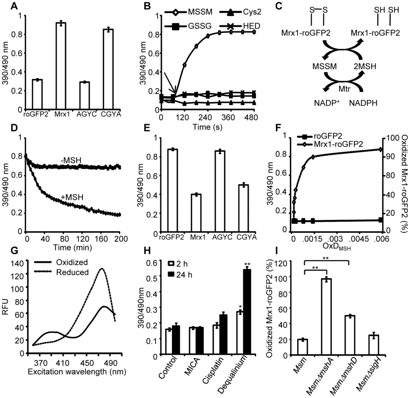 Mrx1 catalyzes specific equilibration between mycothiol redox system and roGFP2 <i>in vitro</i> and <i>in vivo</i>.