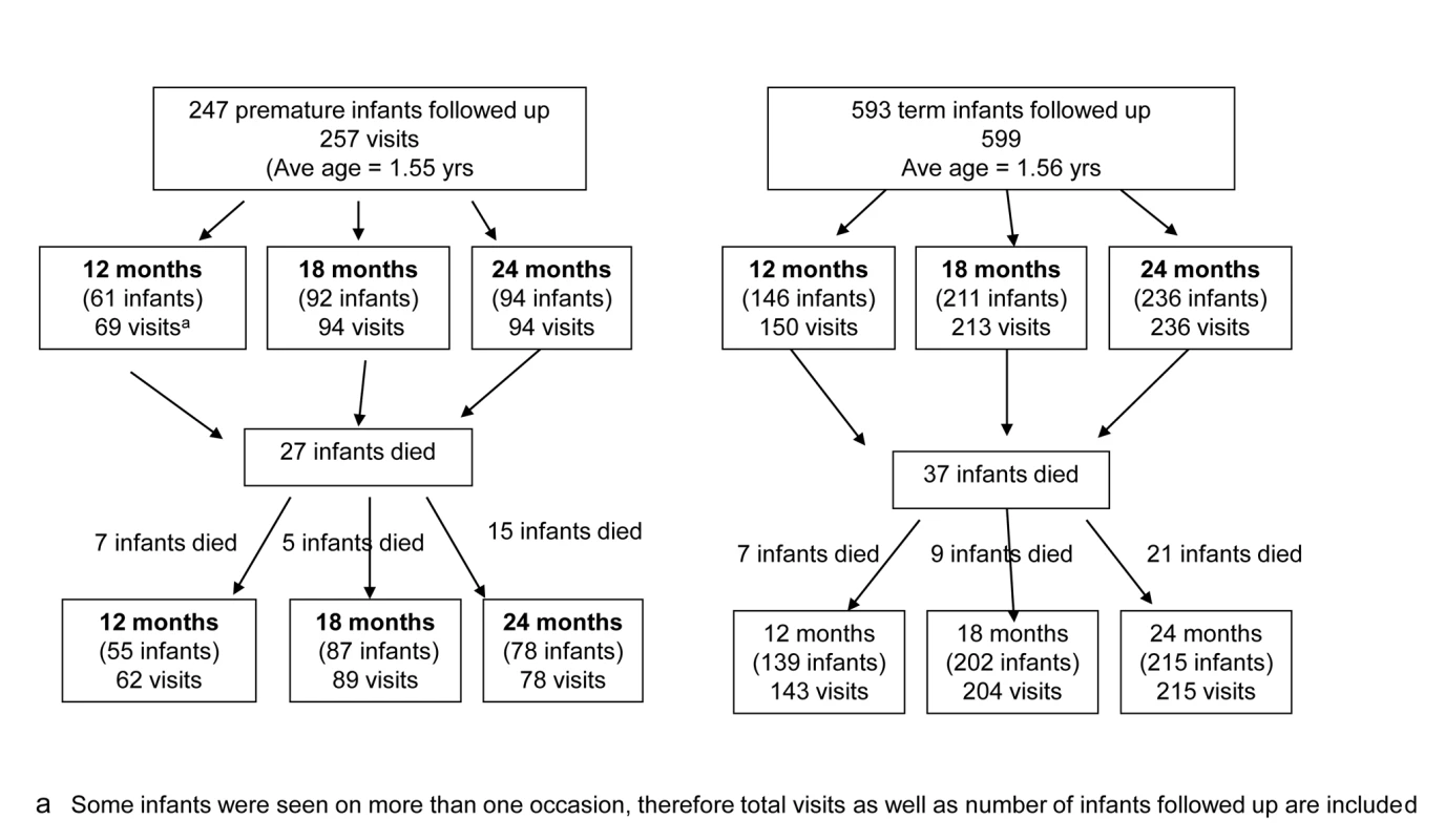 Flow chart of post-neonatal infants followed up in community cohort study.