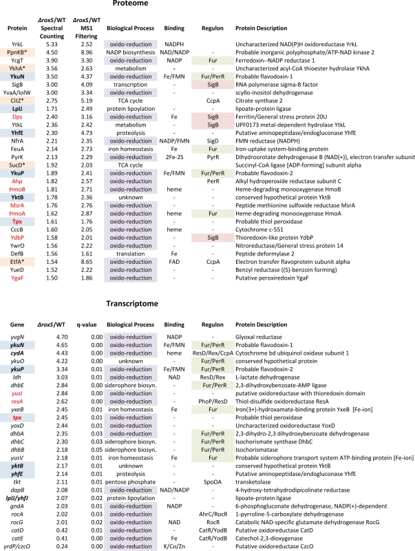 Selected candidates from proteome and transcriptome analyses of <i>ΔroxS strain</i>.