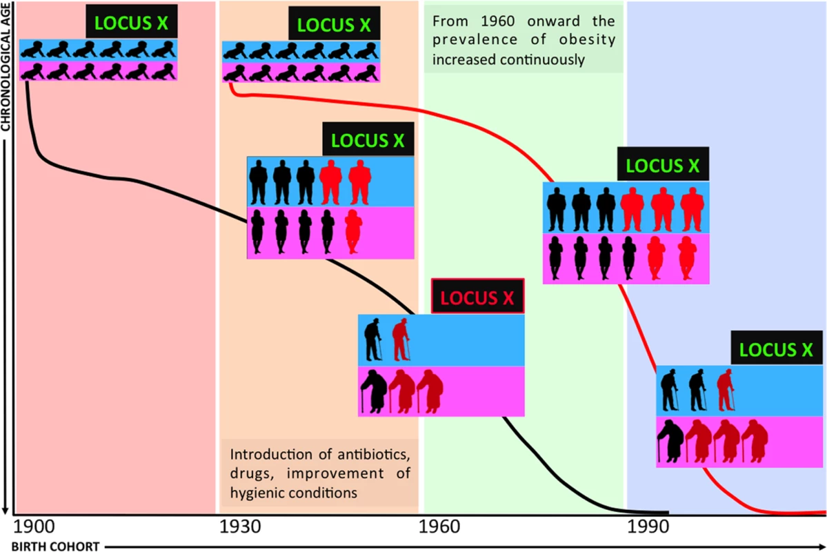 Demography and the genetics of age-related diseases.