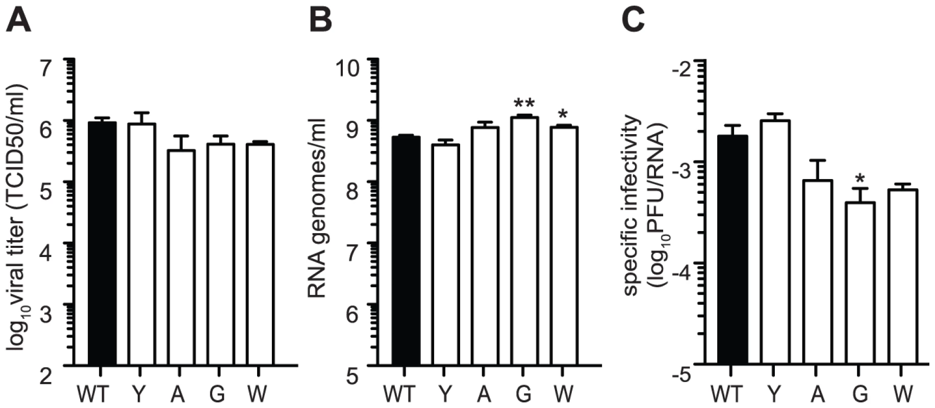 Mutators produce more RNA genomes and have lower specific infectivity than wildtype.